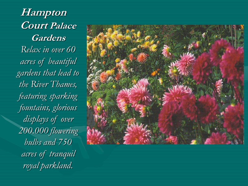 Hampton Court Palace Gardens Relax in over 60 acres of beautiful gardens that lead